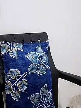 sneha bebo online show from November 17, 3:29 pm