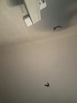 AroraAngel online show from March 7, 9:56 pm