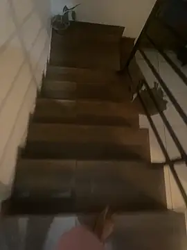 pretalst online show from November 19, 7:52 am