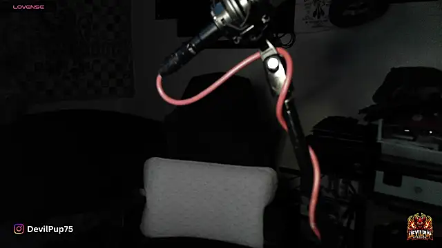 Snapshot of DevilPup75_ chatting on January 18, 2:59 am DevilPup75 online show from January 18, 2:59 am