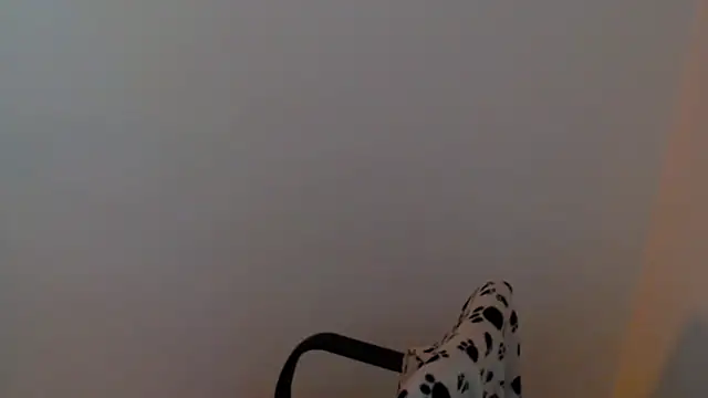 Snapshot of meganmiauu chatting on July 28, 2:51 am meganmiauu online show from July 28, 2:51 am