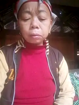 Snapshot of VangLe73 chatting on February 17, 3:47 am VangLe73 online show from February 17, 3:47 am