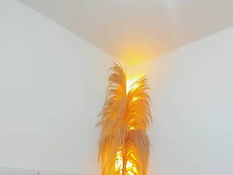 Snapshot of Kieran_kian chatting on February 14, 12:29 am Kieran kian online show from February 14, 12:29 am