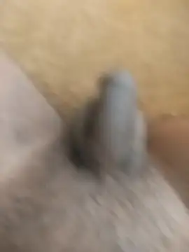 King Raj99 online show from October 18, 10:49 am