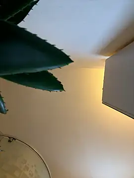 Michel huge online show from January 12, 6:51 am