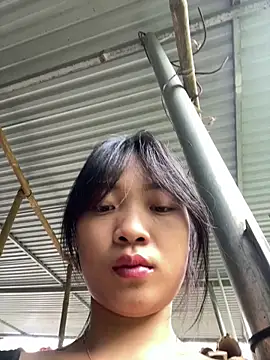 Phayphay77 online show from October 14, 8:37 am