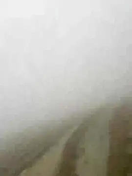 Phayphay77 online show from January 15, 8:08 am