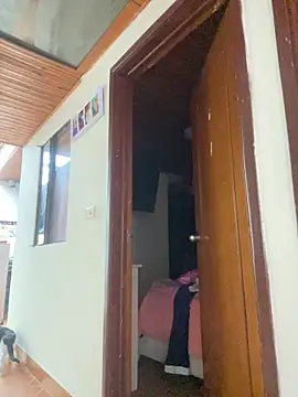 juliana-mancini online show from January 8, 6:21 pm