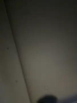 ALANNFERRER online show from November 22, 10:14 am