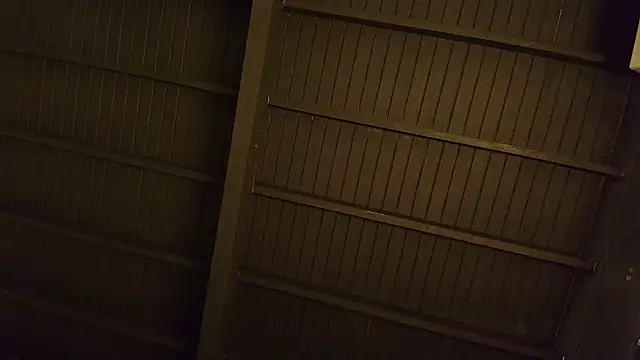 lilyth bloom online show from December 15, 12:42 pm