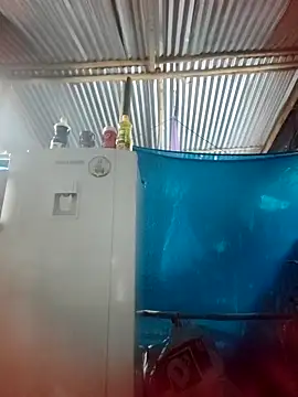 Lily-o online show from November 22, 10:42 pm