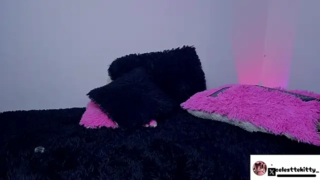 celestte evans 1 online show from March 16, 3:45 am