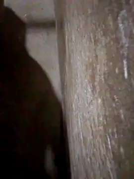 Lujor online show from March 31, 11:38 pm