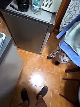 coppiaoraleee online show from November 20, 1:06 am