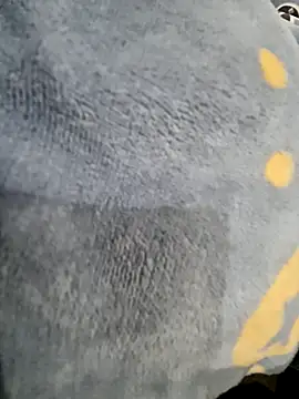 Snapshot of Boyshow88 chatting on February 3, 3:17 pm Boyshow88 online show from February 3, 3:17 pm