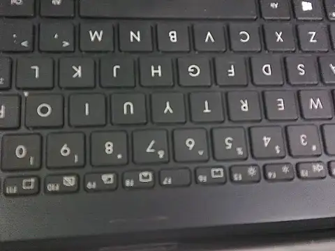 WetWildPussy online show from September 23, 12:35 am