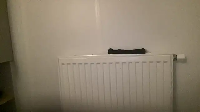 peterpapiNL online show from January 13, 4:34 pm