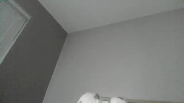 Snapshot of SexyKatiex chatting on December 2, 9:43 pm SexyKatiex online show from December 2, 9:43 pm