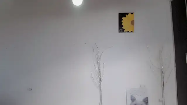Snapshot of Stein_ chatting on September 15, 1:55 pm Stein online show from September 15, 1:55 pm