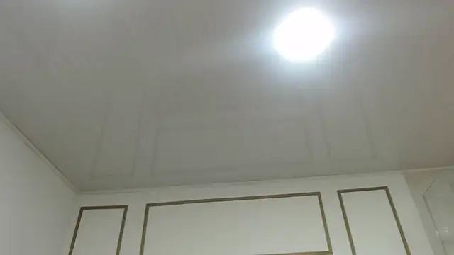 Snapshot of ScarlettRox chatting on February 13, 3:08 pm ScarlettRox online show from February 13, 3:08 pm