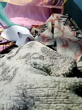 Snapshot of m11a2f3a4z5 chatting on February 14, 11:51 am m11a2f3a4z5 online show from February 14, 11:51 am