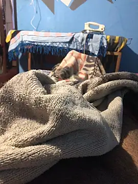 Snapshot of m11a2f3a4z5 chatting on March 22, 12:52 pm m11a2f3a4z5 online show from March 22, 12:52 pm