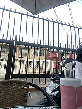 Sallem Pink online show from January 17, 11:15 am