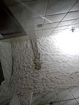 BrenoAvelar online show from December 21, 1:57 am