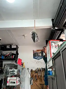 Terra-22cm online show from October 18, 2:51 pm