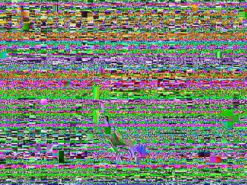 Dilfcam101 online show from March 25, 9:26 am