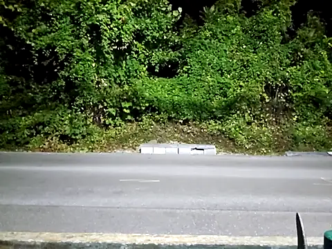 sloppytopkins online show from September 15, 6:35 am