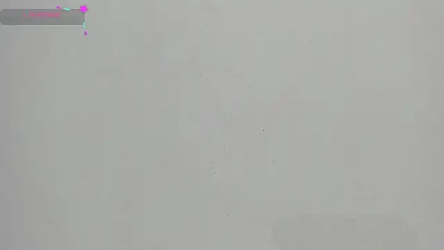 Snapshot of FluffyMelons chatting on January 17, 12:04 am FluffyMelons online show from January 17, 12:04 am