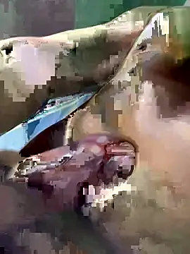 Huynh-duc-huy online show from February 5, 7:24 am