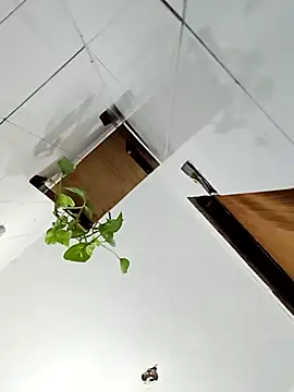 Rodrigo99 9 online show from April 10, 4:12 pm