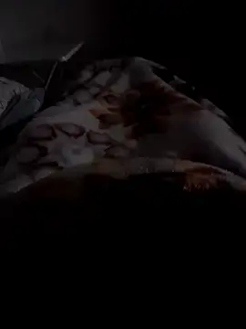 ratoncito 3 online show from January 12, 12:38 am