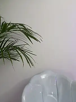 Snapshot of Ariana2017 chatting on February 6, 10:24 pm Ariana2017 online show from February 6, 10:24 pm