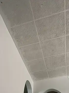 Snapshot of LICEET chatting on September 25, 3:27 pm LICEET online show from September 25, 3:27 pm