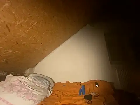 Salon1986 online show from October 12, 12:53 am