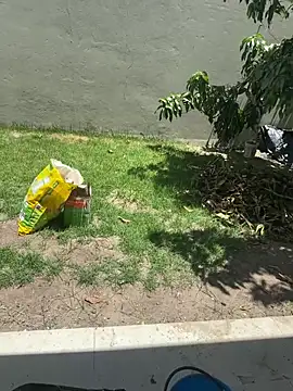 XUCRUTES42 online show from February 7, 3:27 pm