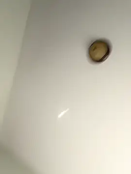 Snapshot of lilcubangoddess chatting on October 28, 2:31 pm lilcubangoddess online show from October 28, 2:31 pm