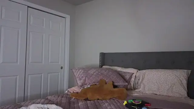 bambifarrina online show from October 2, 1:56 am