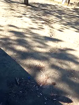 bullut06 online show from September 23, 6:38 am