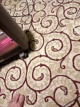 bullut06 online show from April 8, 5:46 pm