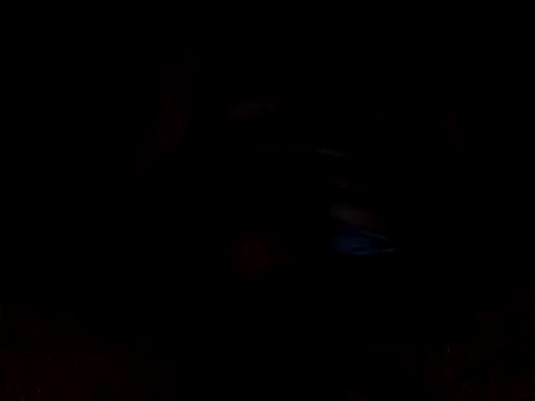 Snapshot of CaiBull chatting on October 26, 8:48 pm CaiBull online show from October 26, 8:48 pm