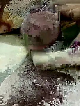 Zepe 12 online show from March 22, 8:12 pm