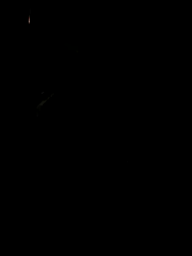 koukou322 online show from November 2, 10:06 am