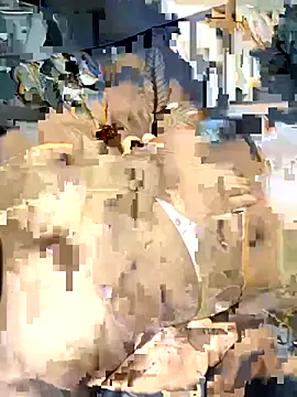 desitease online show from September 15, 8:03 am