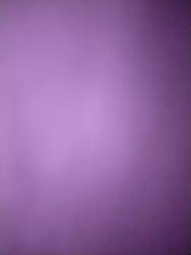 amolicars online show from November 8, 2:06 pm