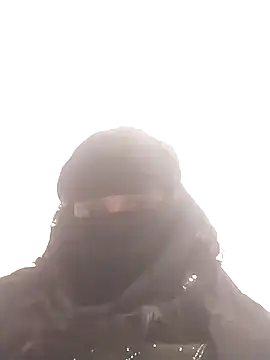 amolicars online show from November 24, 2:28 pm