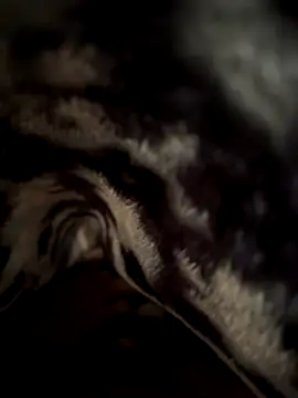 Snapshot of jackyw chatting on November 21, 6:12 am jackyw online show from November 21, 6:12 am